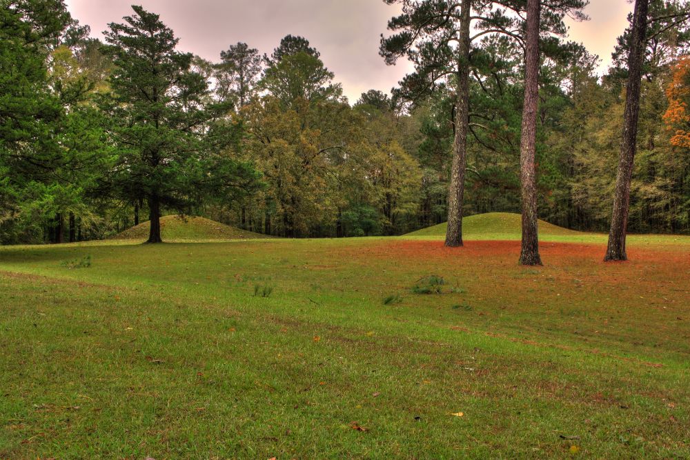 Bynam Mounds